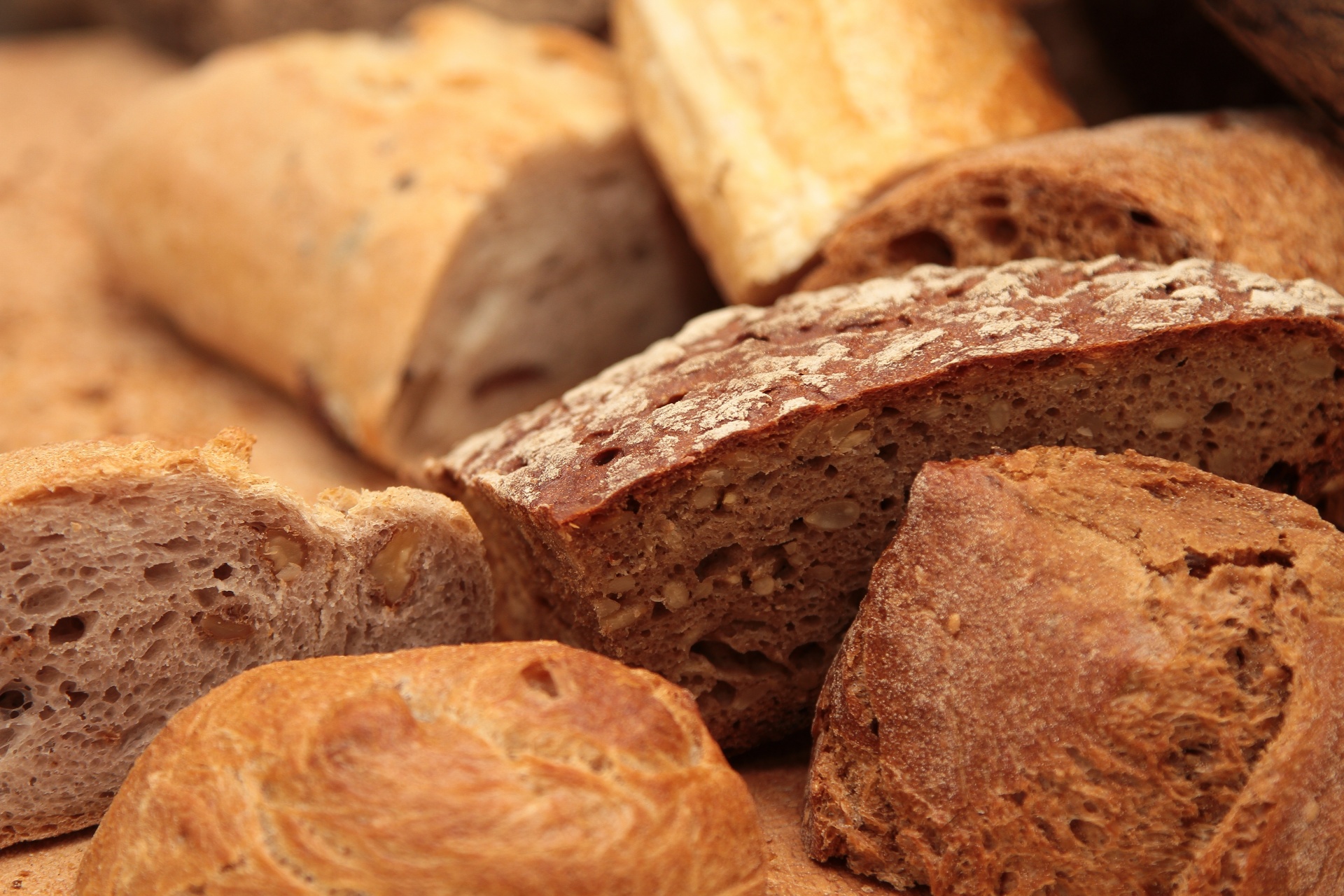 The History of Bread-making - Great Harvest Bread of Layton